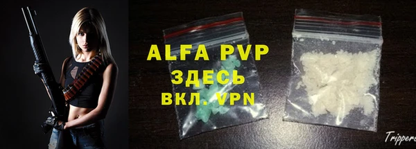 дмт Богданович