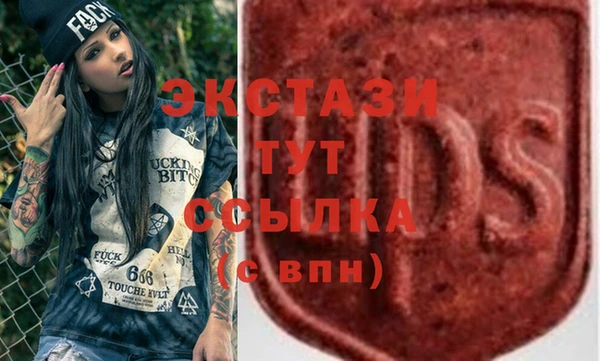 дмт Богданович
