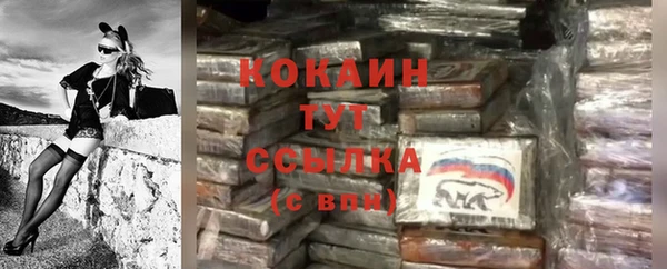тгк Богородск